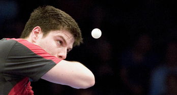 开云体育官网-比利时乒乓球队爆冷韩国乒乓球队，奥恰洛夫制霸全场