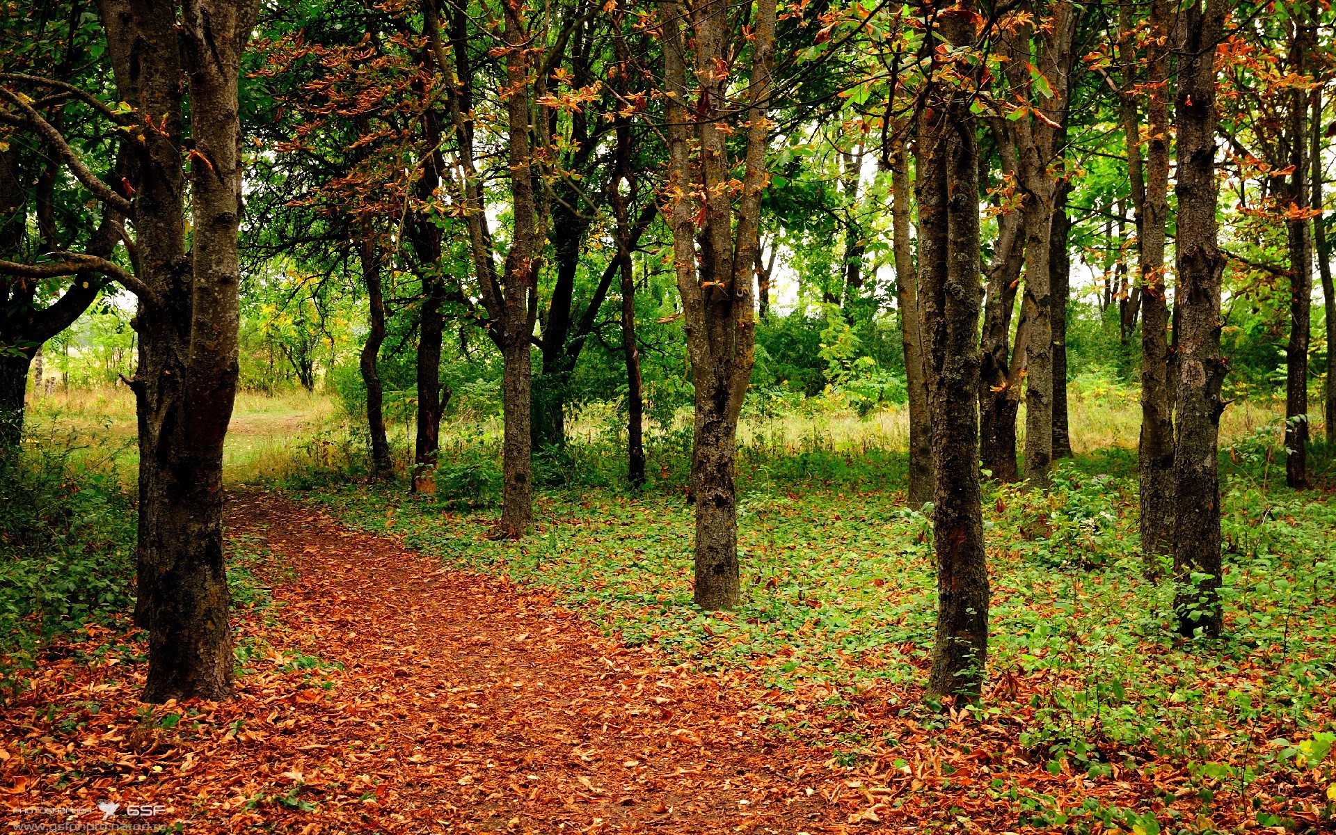开云体育平台APP-老鹰逆转湖人！字母哥制胜表现引爆全场，东部格局再洗牌？